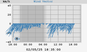 Wind Vector